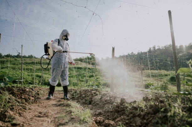 Best Mosquito Control Services  in Oneida, TN