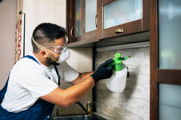 Best Pest Removal Services  in Oneida, TN