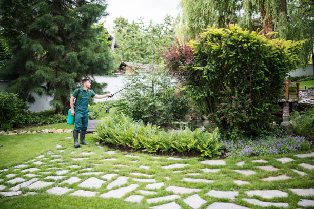 Best Best Pest Control Companies  in Oneida, TN