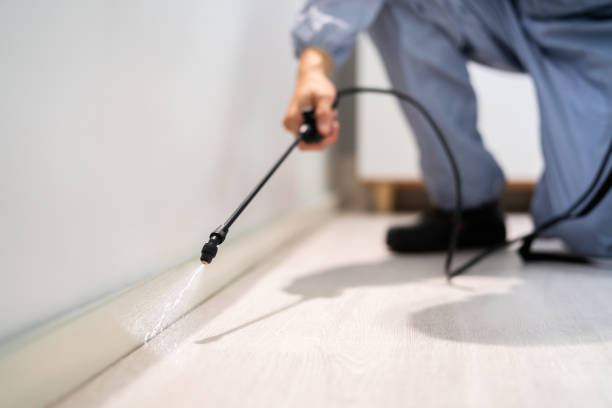 Best Pest Prevention Services  in Oneida, TN