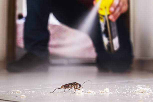 Best Pest Control Near Me in Oneida, TN