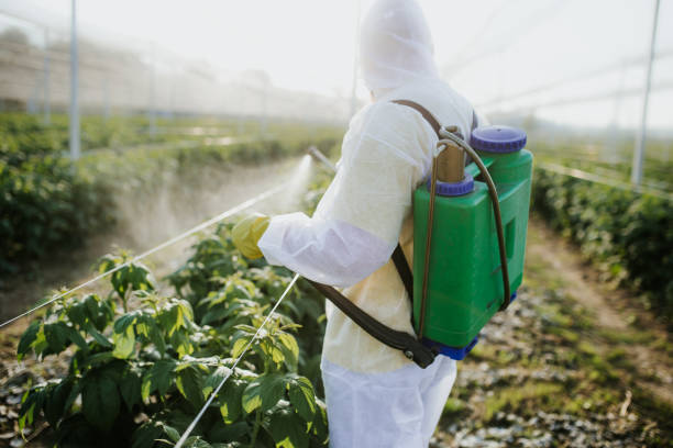 Best Pest Control Treatment  in Oneida, TN
